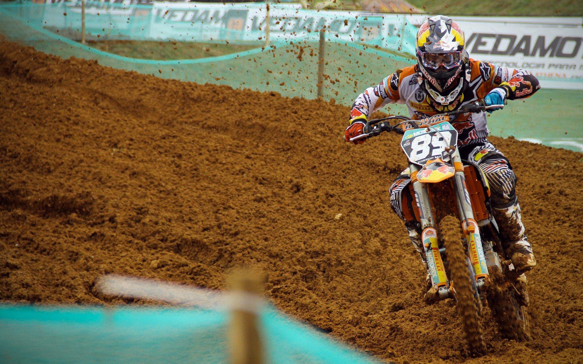 自由泳名将破纪录夺冠,中国游泳队再创辉煌