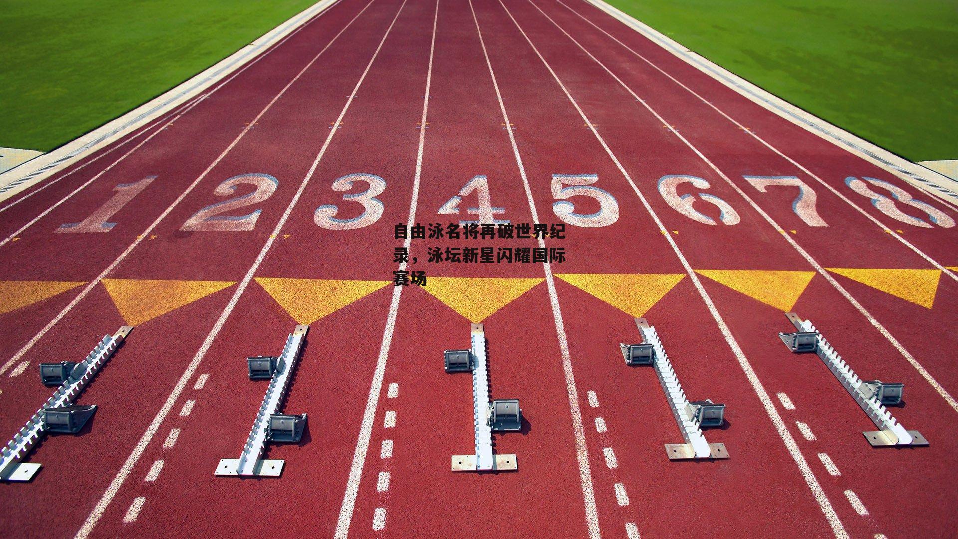 自由泳名将再破世界纪录，泳坛新星闪耀国际赛场【B体育平台】