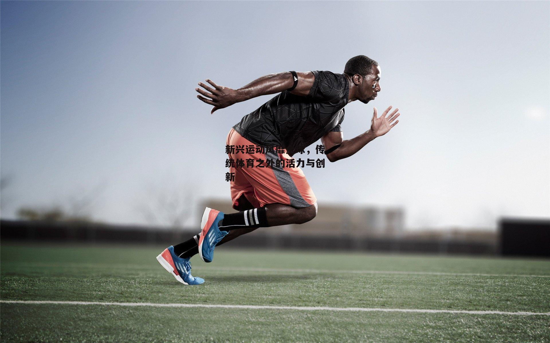 新兴运动风靡全球，传统体育之外的活力与创新