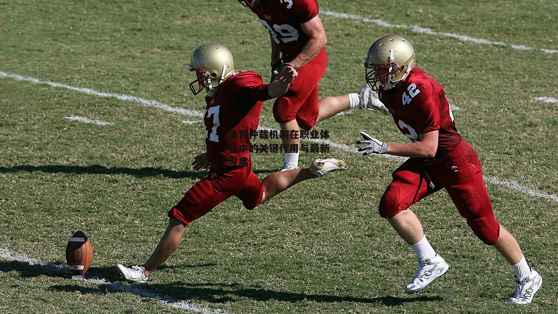 B体育_体育仲裁机制在职业体育中的关键作用与最新发展
