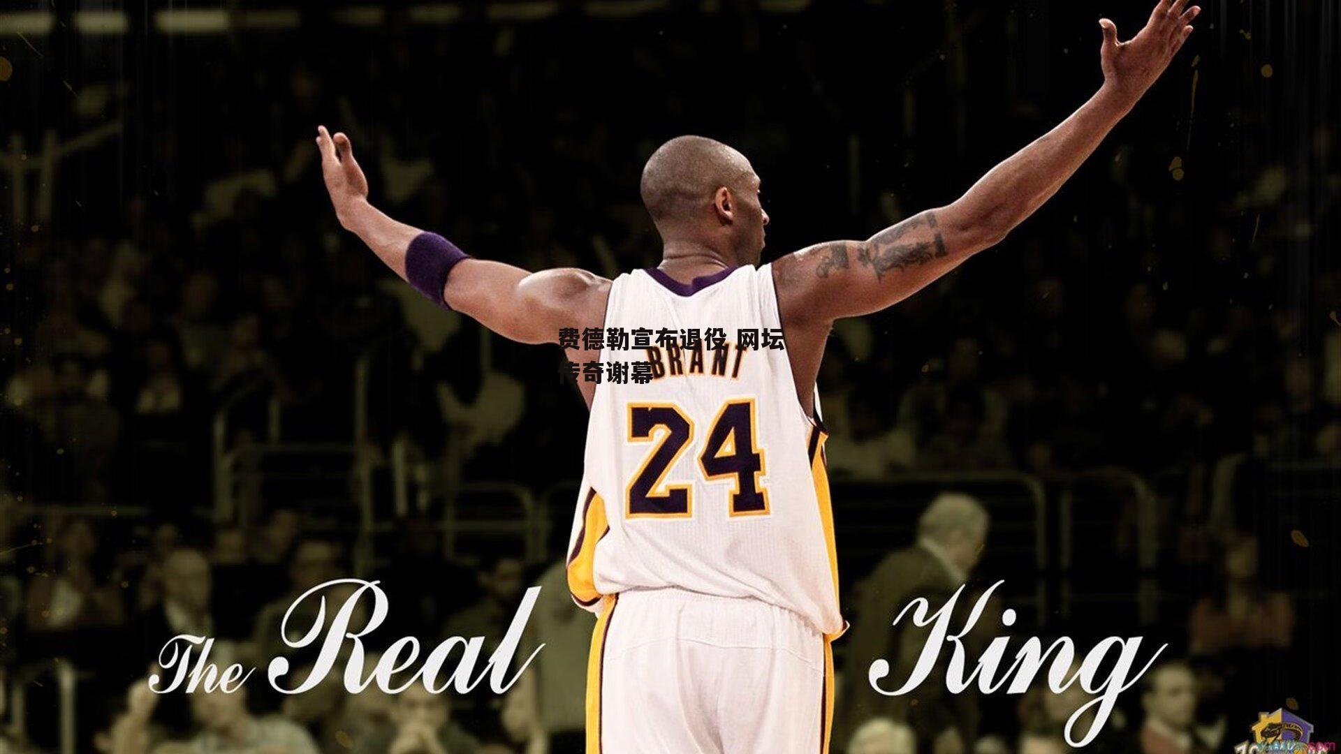 费德勒宣布退役 网坛传奇谢幕-BSPORTS