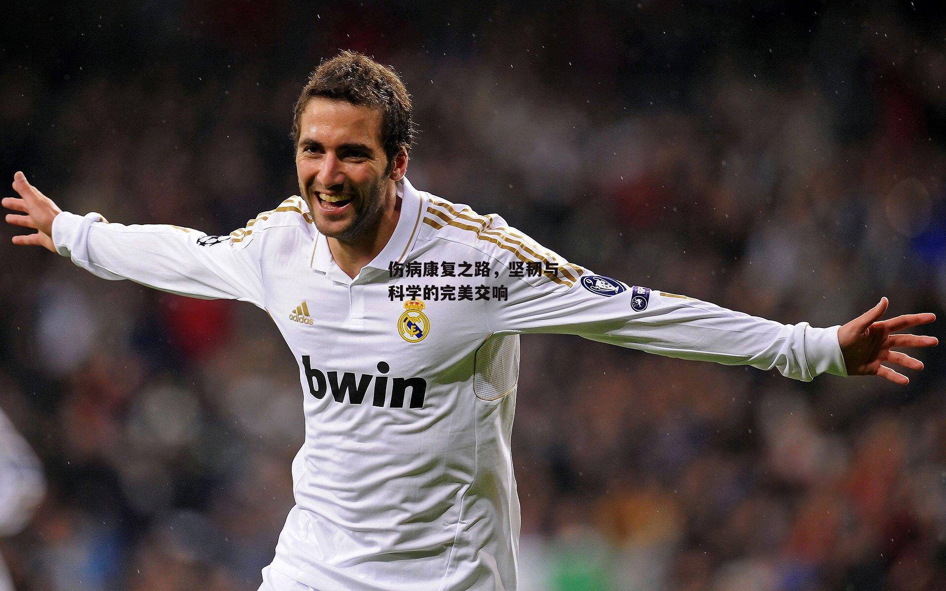 伤病康复之路,坚韧与科学的完美交响